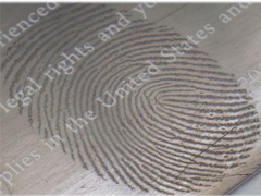 Hochvakuummetallisierungssystem, Wärmedampfbeschichtungseinheit für Fingerabdruckschilder